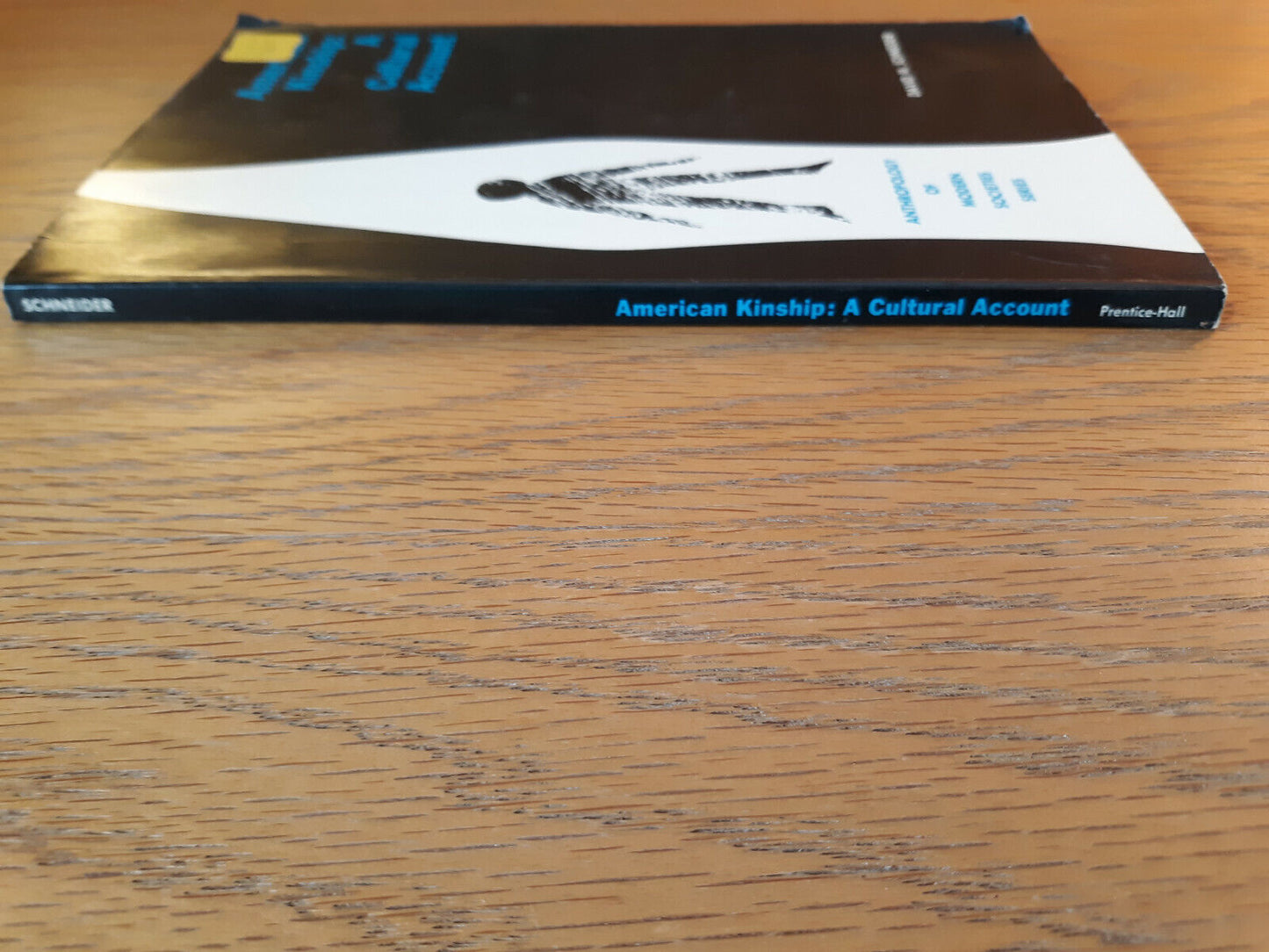 American Kinship A Cultural Account David M Schneider 1968 Paperback Prentice Ha