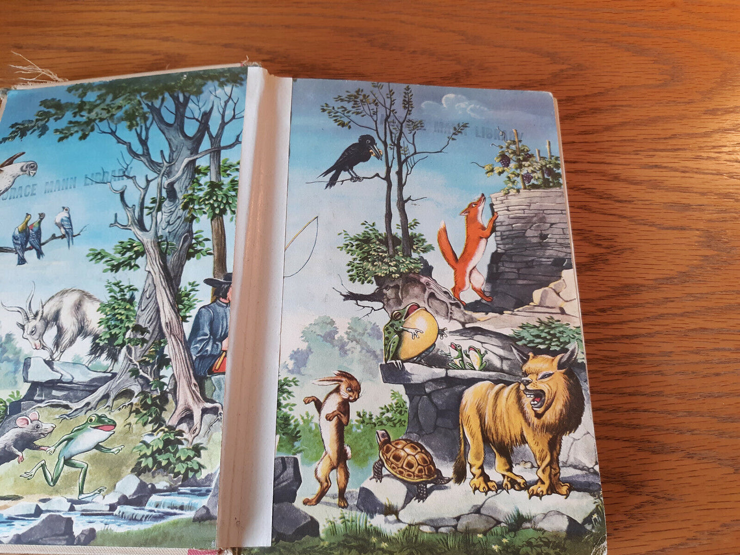 Aesop's Fables Illustrated Junior Library 1947 Grosset & Dunlap Hardcover