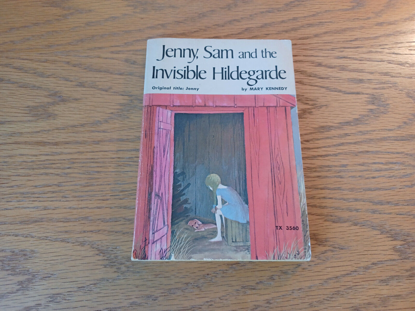 Jenny Sam And The Invisible Hildegarde Mary Kennedy 1954 Scholastic