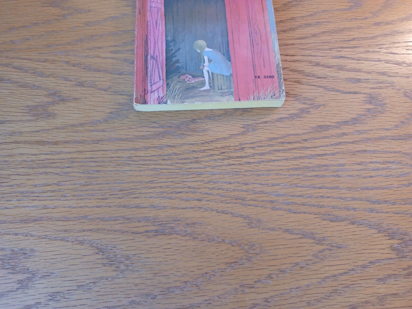 Jenny Sam And The Invisible Hildegarde Mary Kennedy 1954 Scholastic
