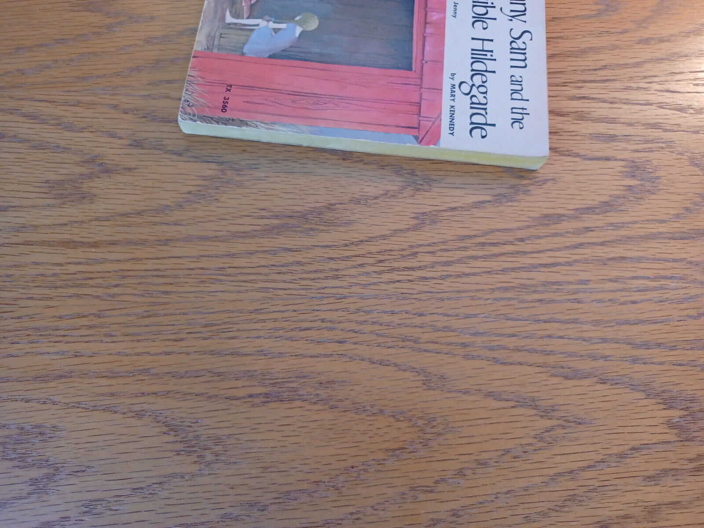 Jenny Sam And The Invisible Hildegarde Mary Kennedy 1954 Scholastic