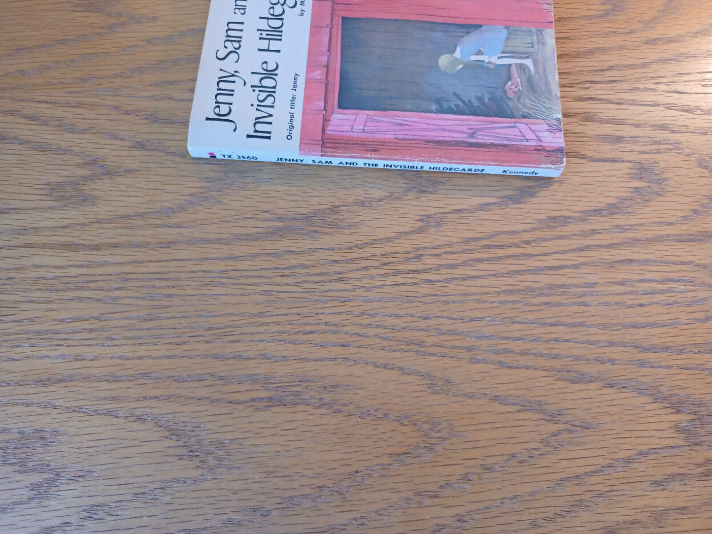 Jenny Sam And The Invisible Hildegarde Mary Kennedy 1954 Scholastic