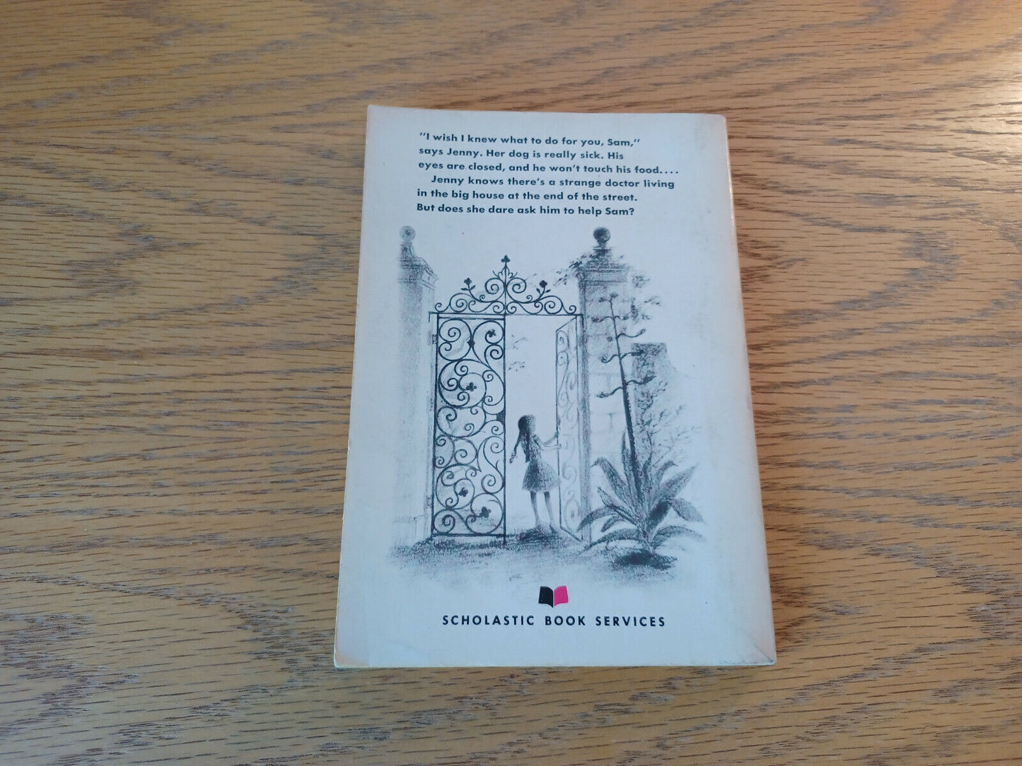 Jenny Sam And The Invisible Hildegarde Mary Kennedy 1954 Scholastic