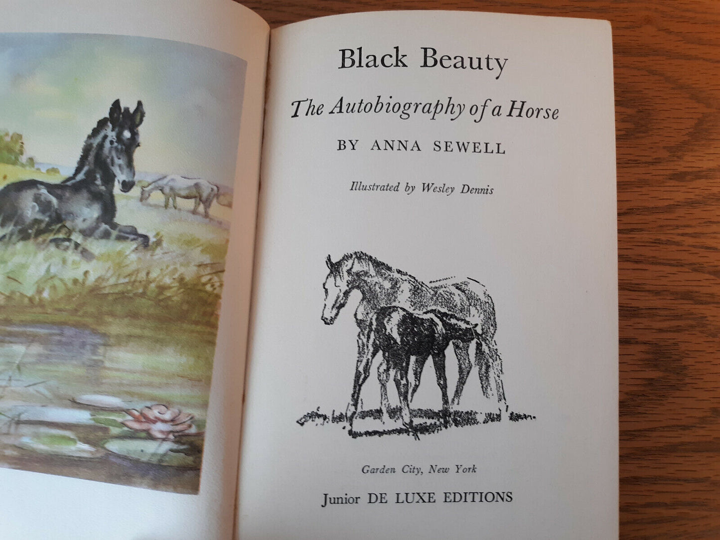 Black Beauty Anna Sewell 1946 Hardcover Junior Deluxe Edition Garden City