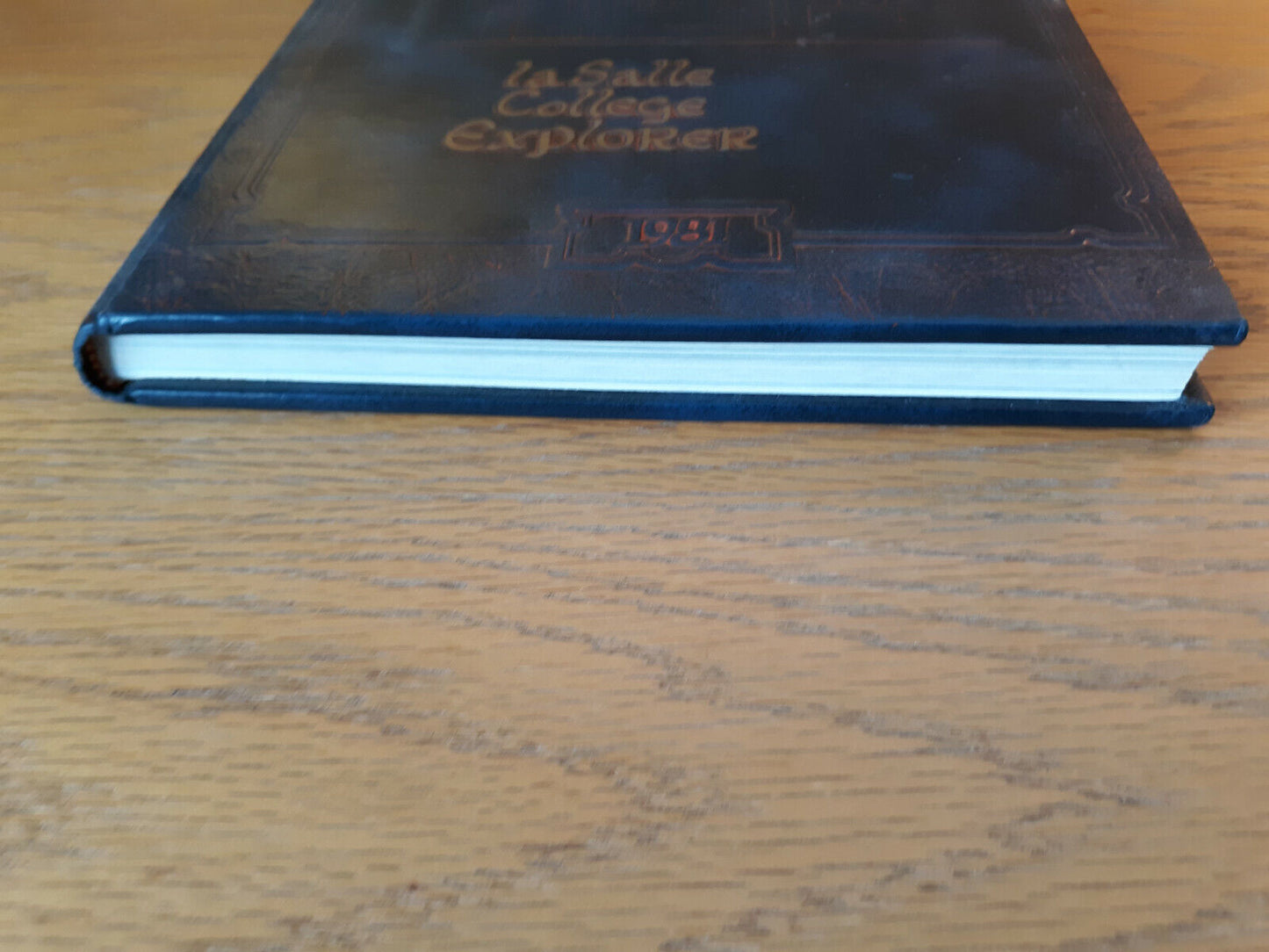 La Salle College 1981 Yearbook Philadelphia Pennsylvania Hardcover