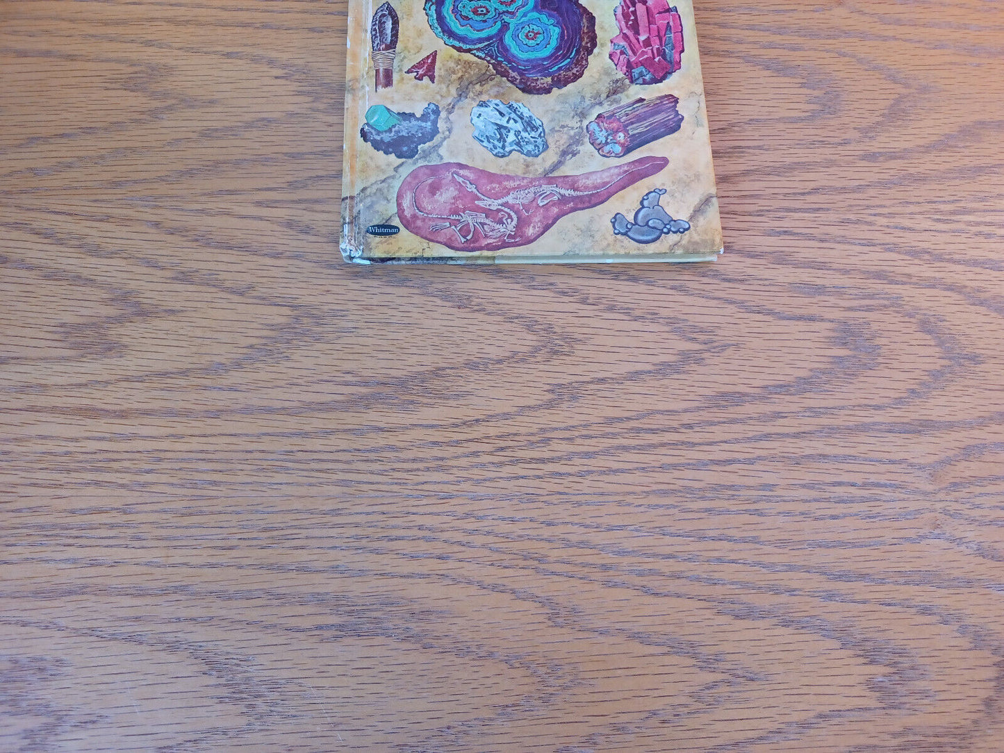 Rocks And What They Tell Us Lester Del Rey 1961 Hardcover Whitman