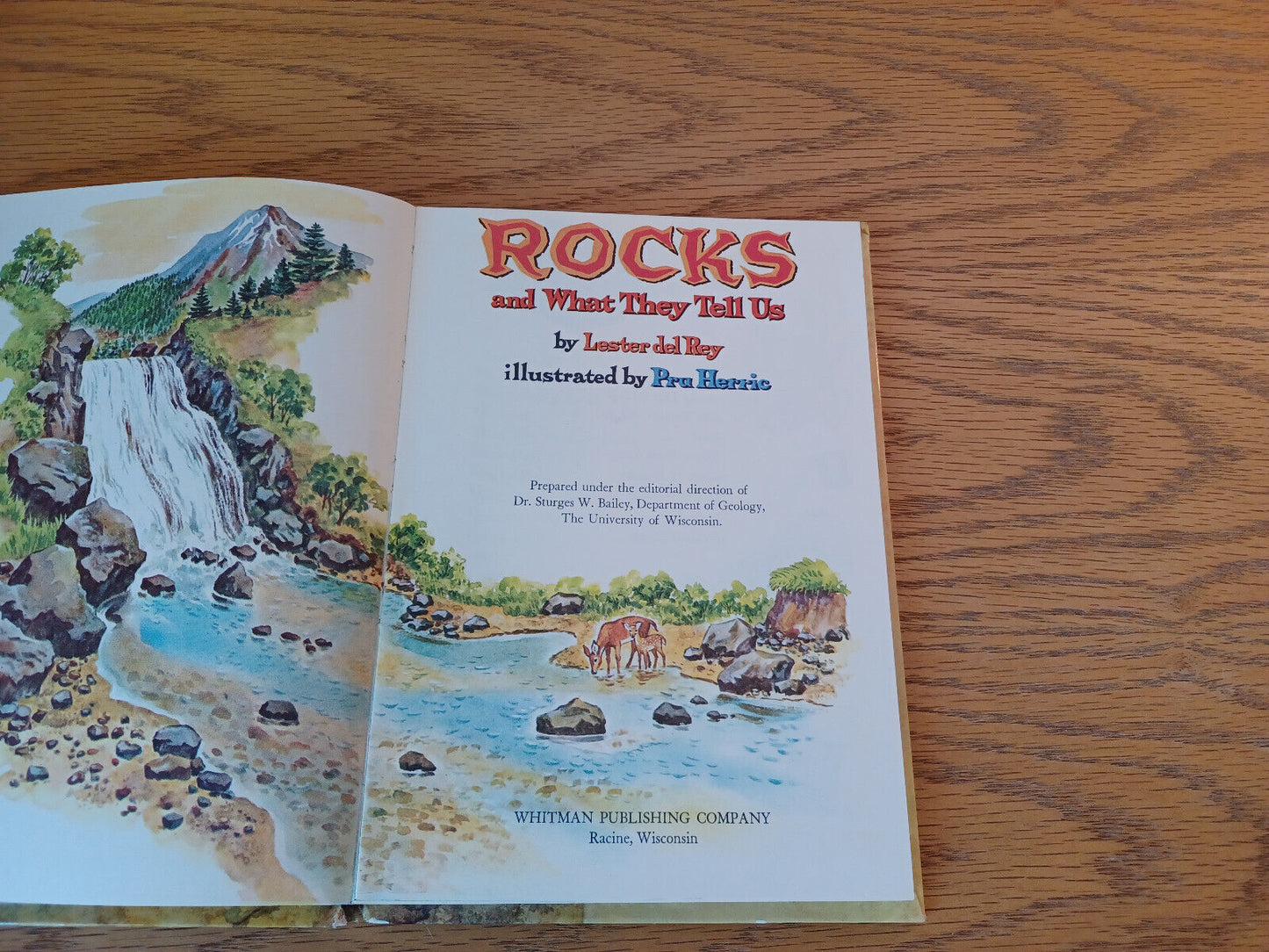 Rocks And What They Tell Us Lester Del Rey 1961 Hardcover Whitman