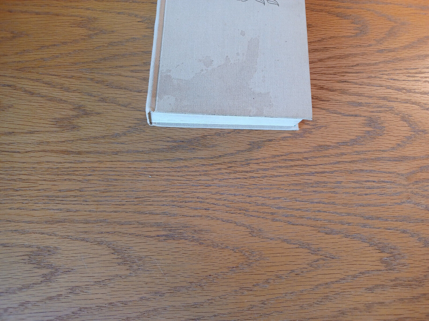 A Place In The Woods Helen Hoover 1969 1st Ed Hardcover Alfred A Knopf