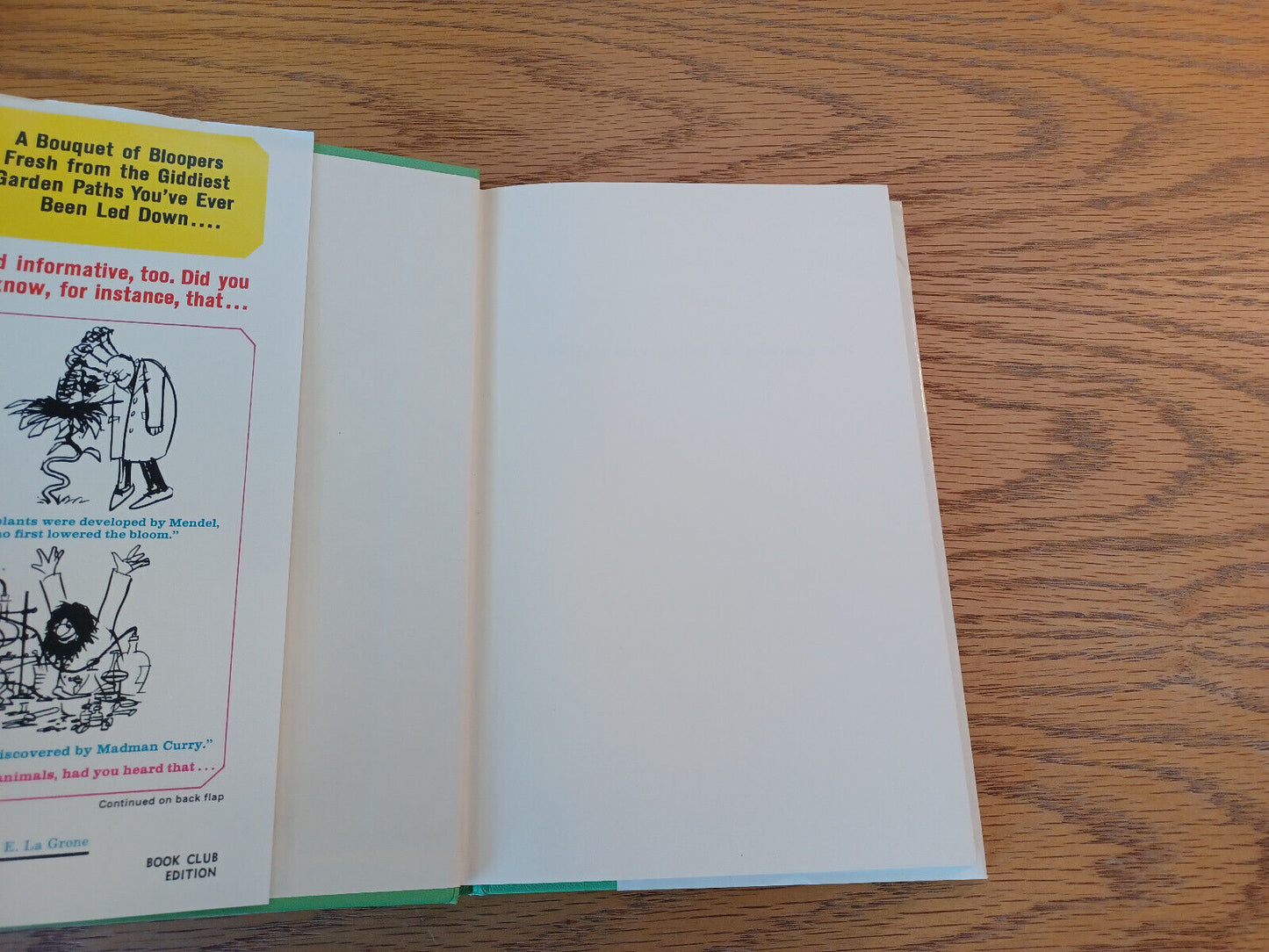 A Child's Garden Of Misinformation Art Linkletter 1965 Book Club Edition Hardcov