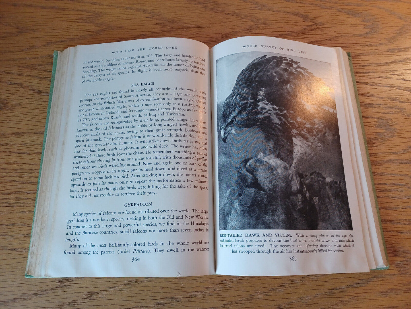 Wild Life The World Over E G Boulenger 1965 Hardcover Wise & Co
