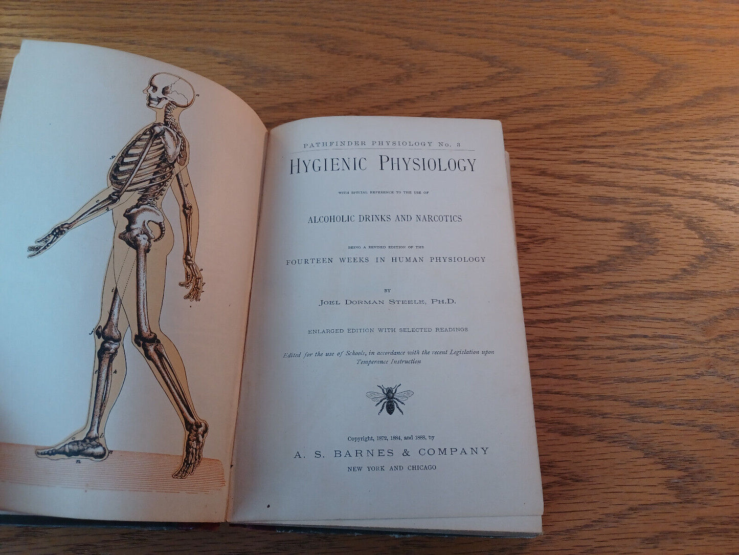 Hygienic Physiology Joel Dorman Steele 1888 Hardcover A S Barnes