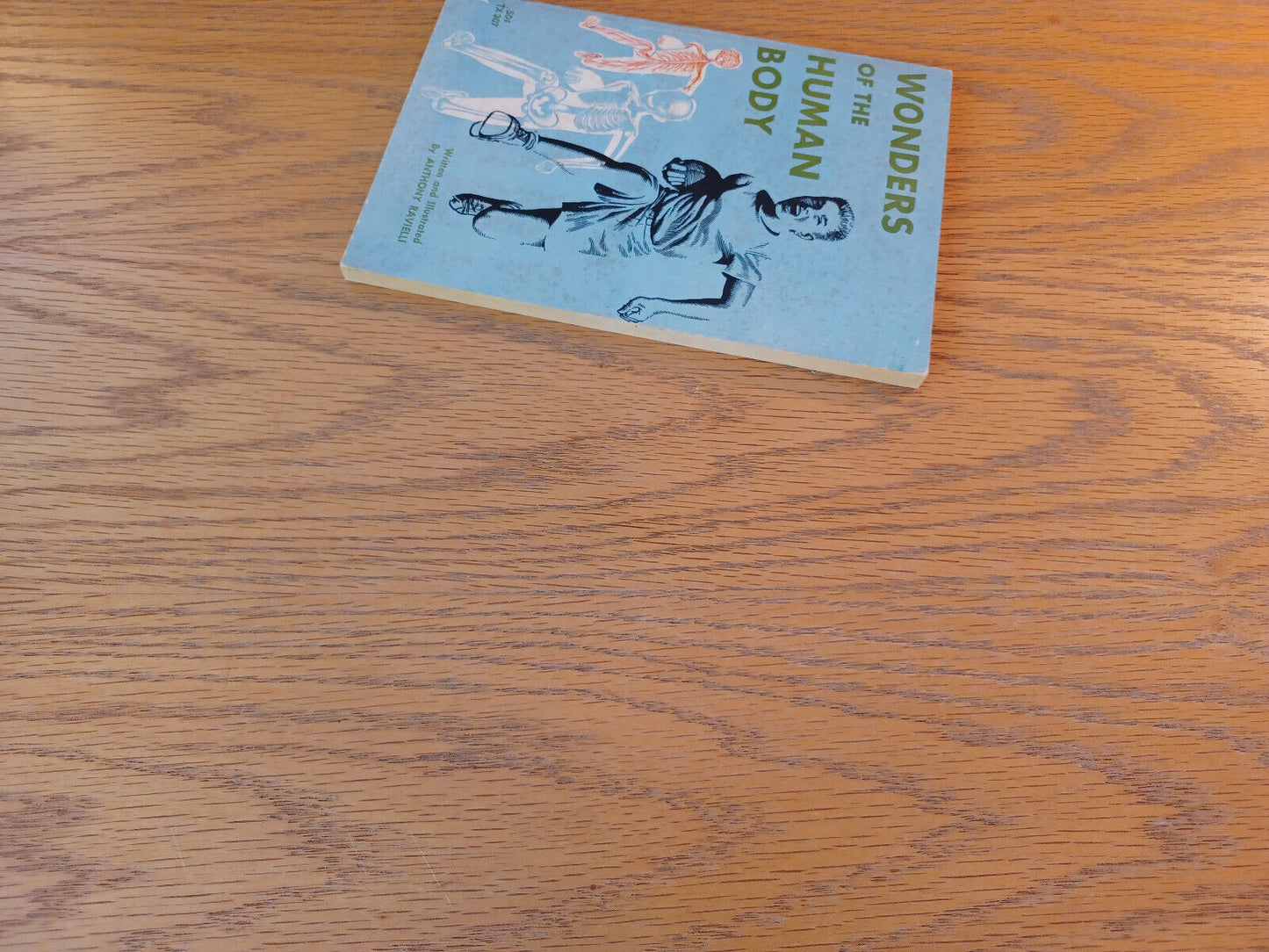 Wonders Of The Human Body Anthony Ravielli 1966 Paperback Scholastic