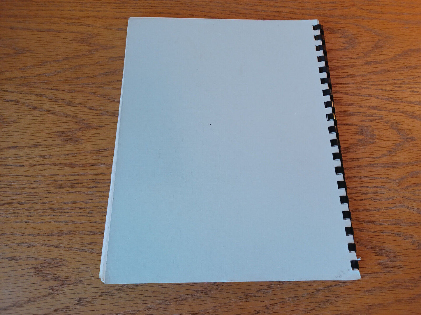 St John The Baptist Catholic Church A Pictorial History Rosina Schmalzbauer Bory