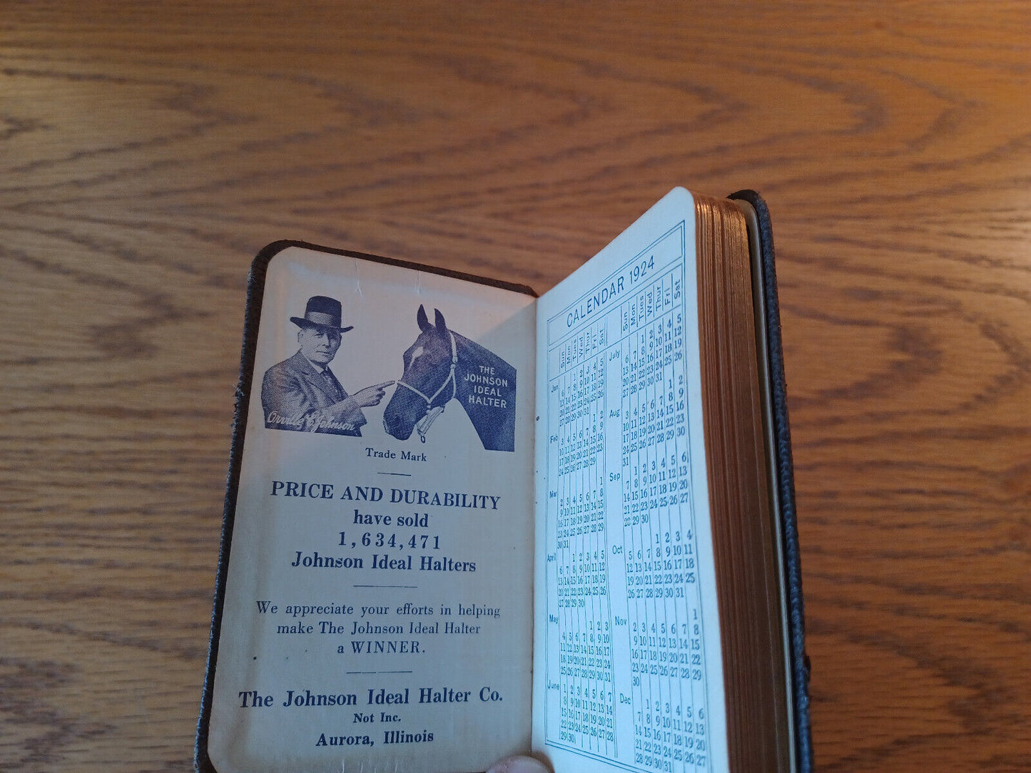 A Daily Reminder Of Important Matters Special Edition 1924 Johnson Ideal Halter