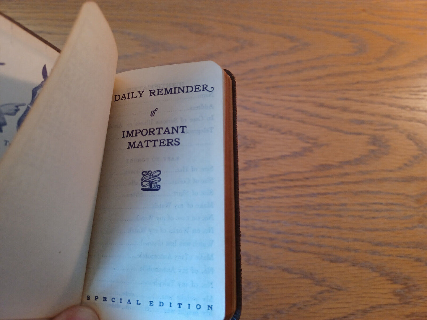 A Daily Reminder Of Important Matters Special Edition 1924 Johnson Ideal Halter