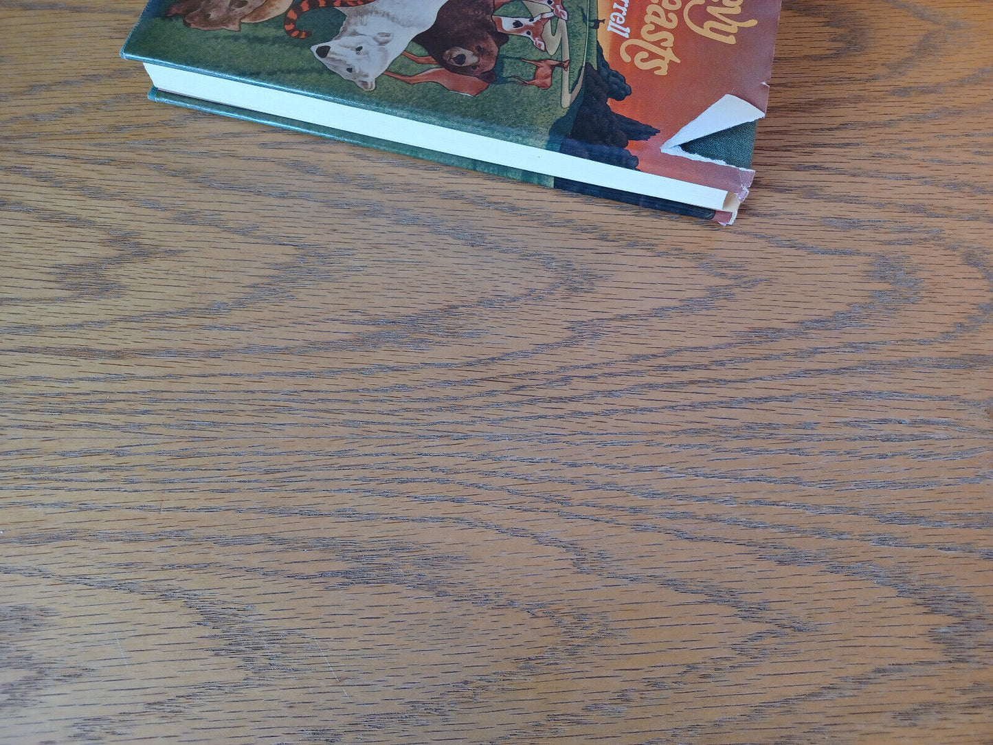 A Bevy Of Beasts Gerald Durrell 1973 1st Printing Hardcover Simon And Schuster