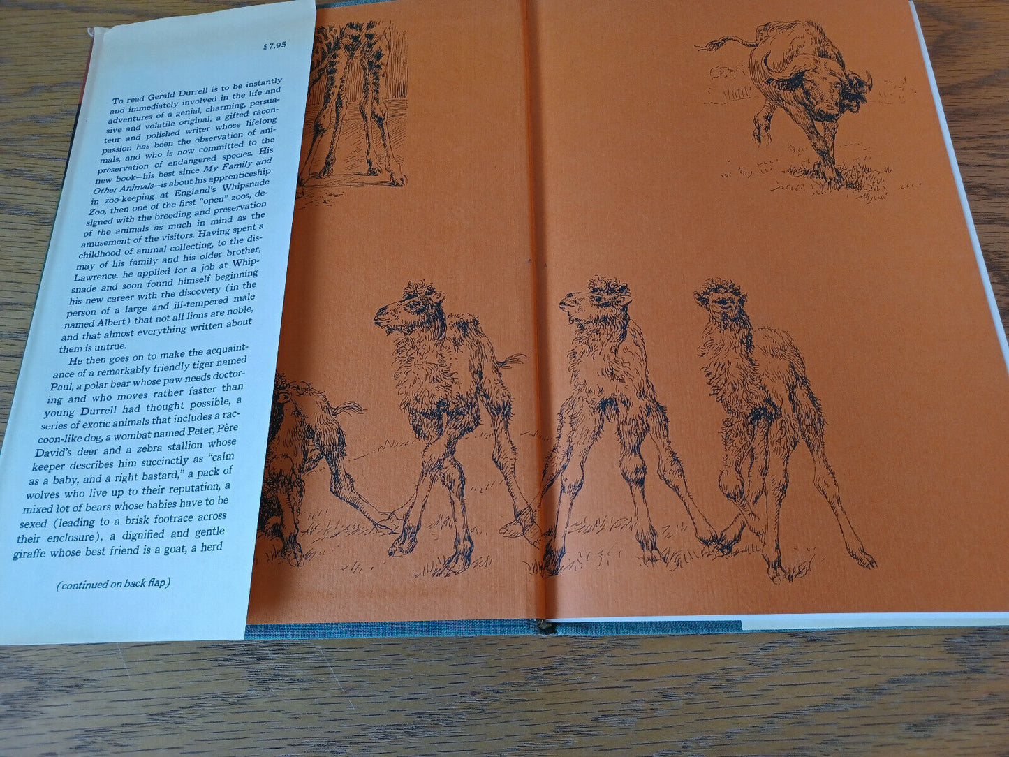 A Bevy Of Beasts Gerald Durrell 1973 1st Printing Hardcover Simon And Schuster