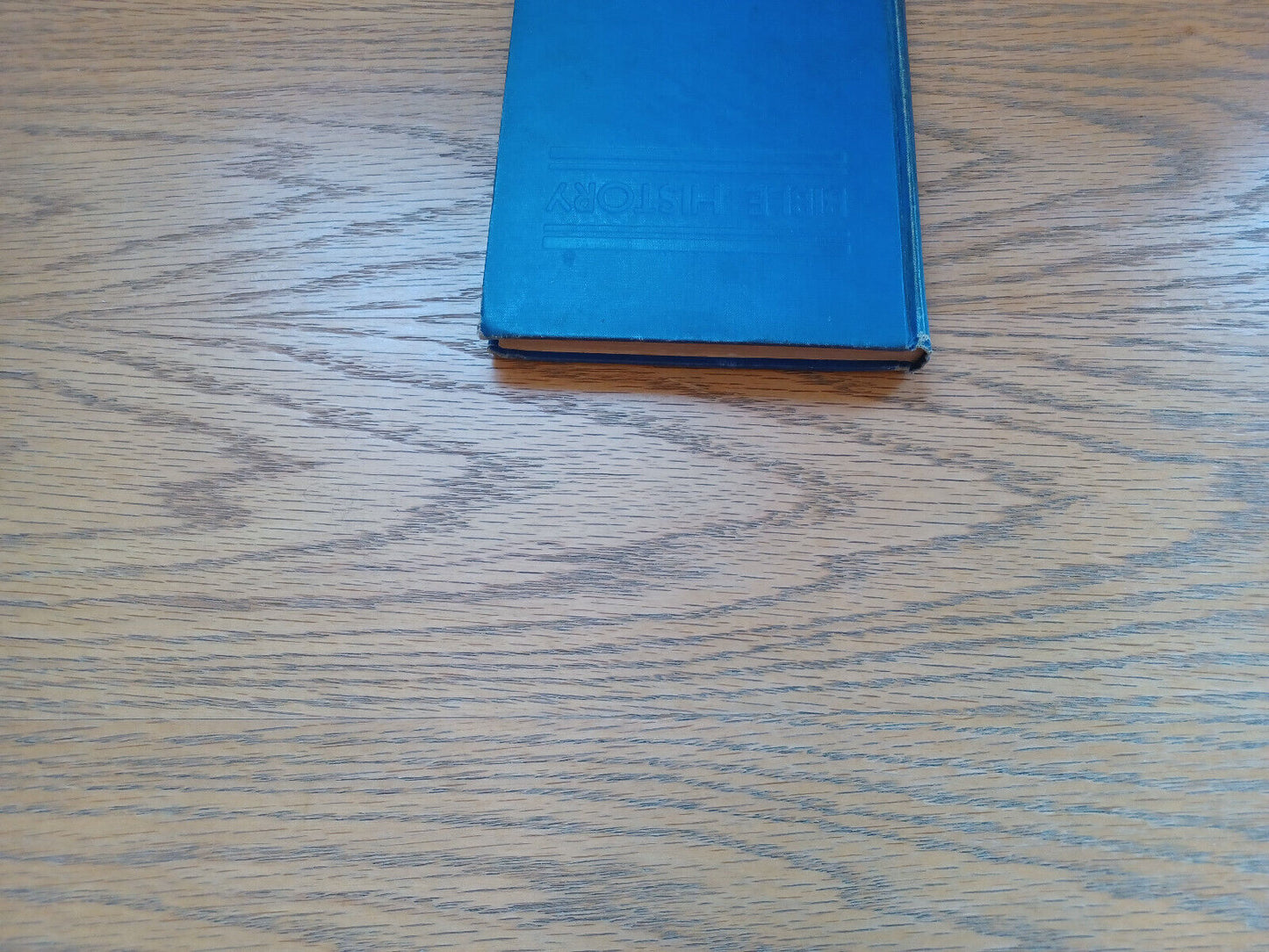 A Bible History for Schools Confirmation Classes and Homes Conrad Bergendoff 193