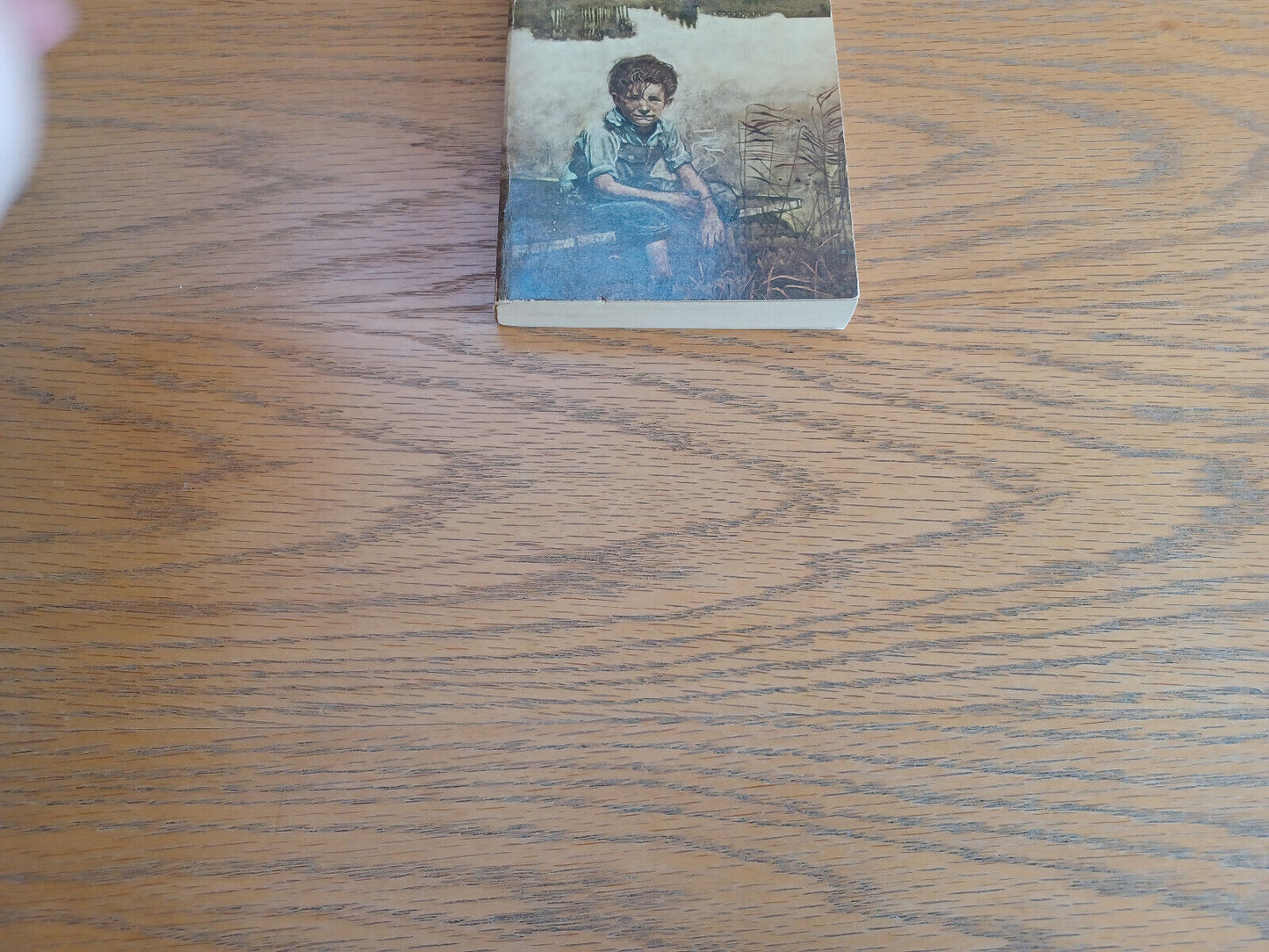 Adventures of Huckleberry Finn Mark Twain 1959 Signet New American Library
