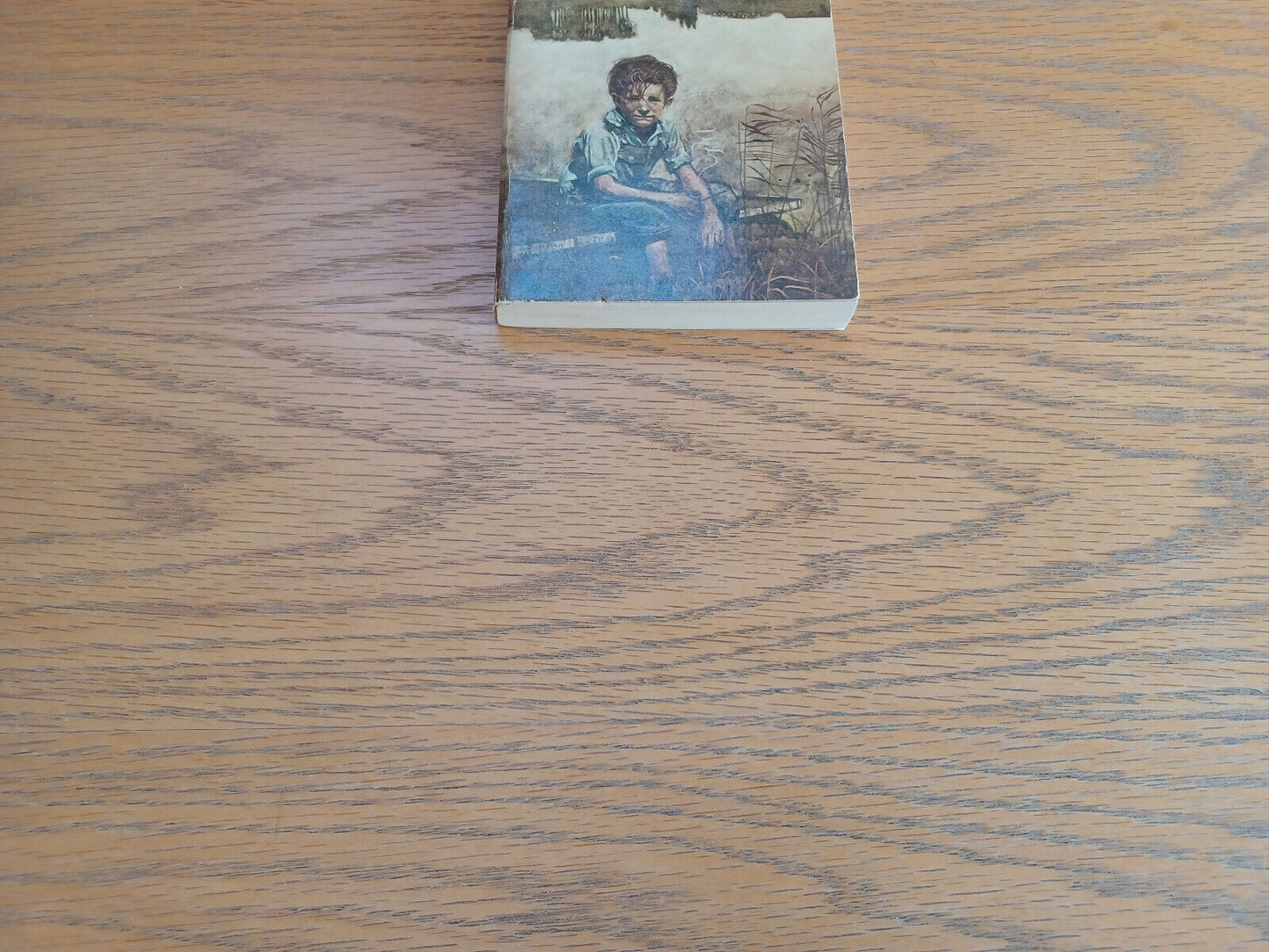 Adventures of Huckleberry Finn Mark Twain 1959 Signet New American Library