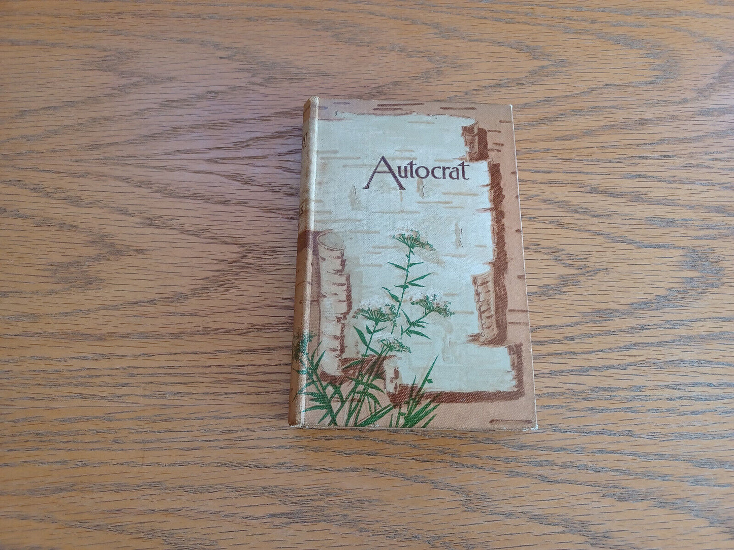 The Autocrat of the Breakfast Table Oliver Wendell Holmes 1900 Hardcover Thomas
