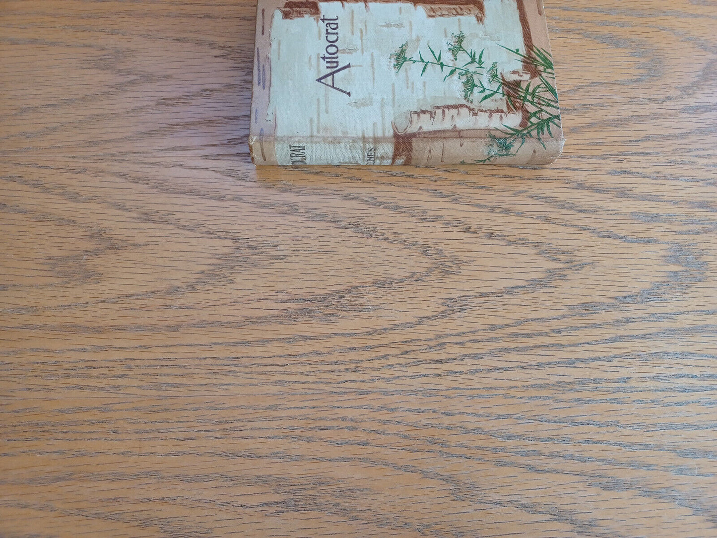 The Autocrat of the Breakfast Table Oliver Wendell Holmes 1900 Hardcover Thomas