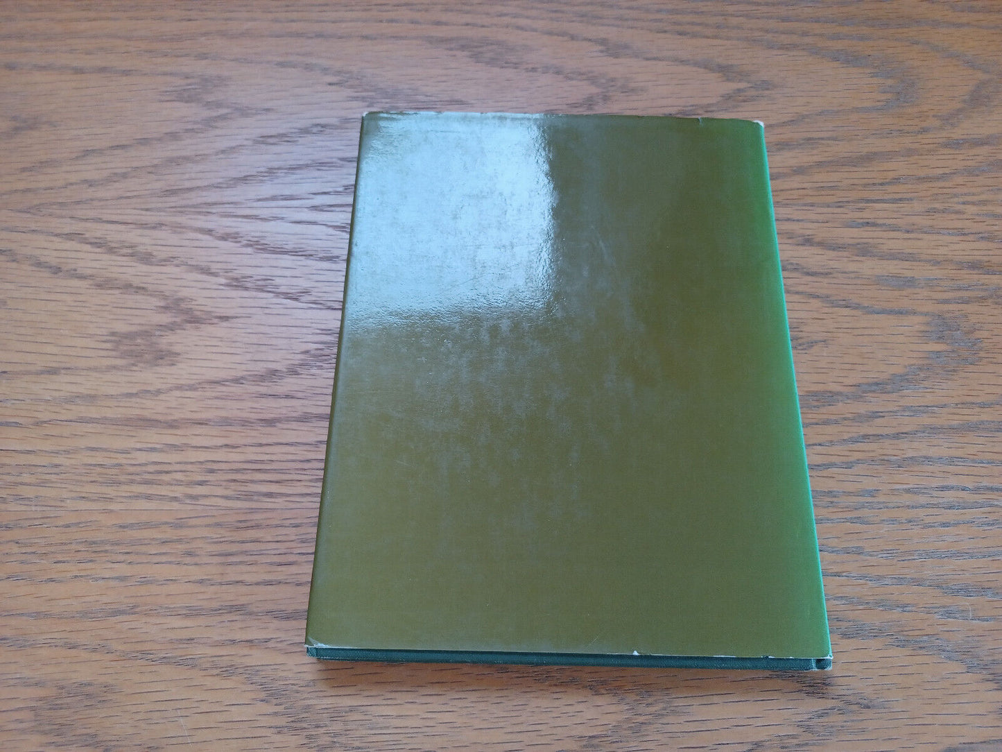 Lichens for Vegetable Dyeing Eileen M Bolton 1972 Hardcover Dust Jacket Studio V