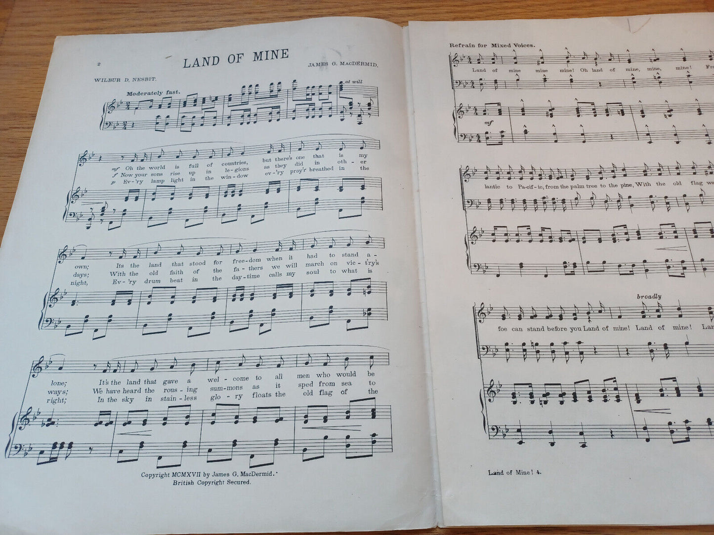 Land of Mine Wilbur D Nesbit James G MacDermid 1917