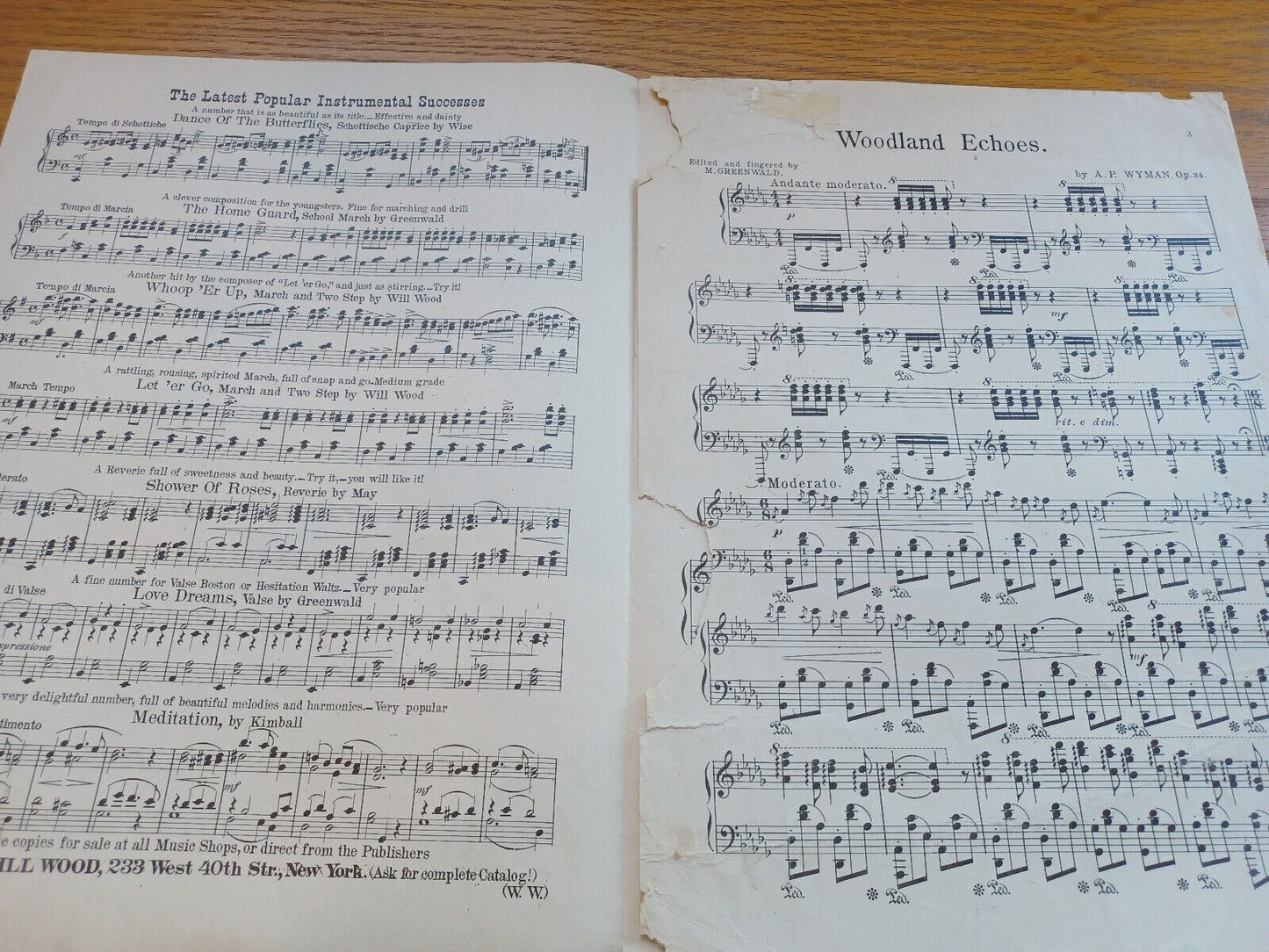 Woodland Echoes Op 34 For Piano A P Wyman De Luxe Music