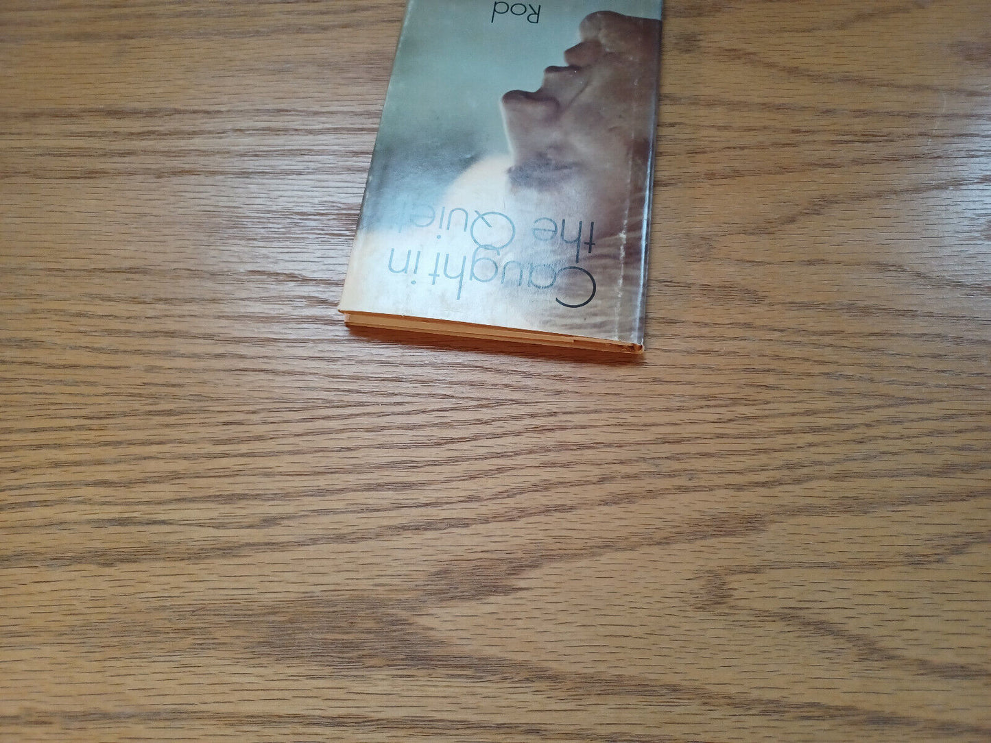 Caught in the Quiet Rod McKuen 1970 Hardcover Dust Jacket Random House