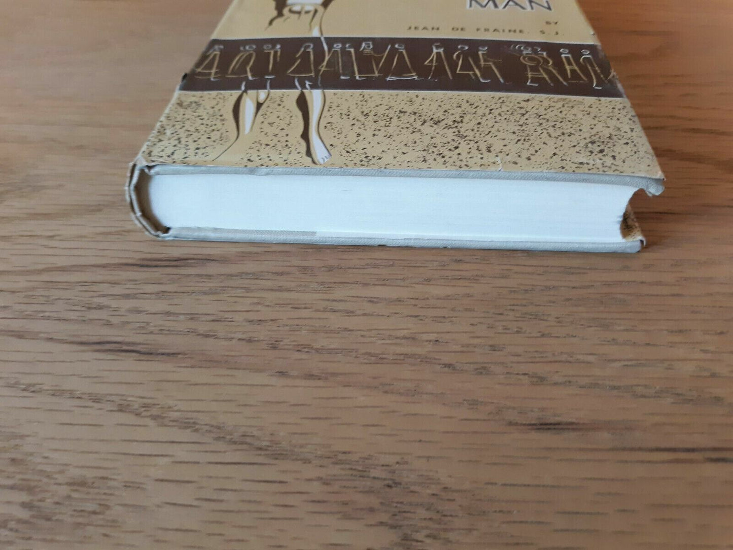 Adam and the family of man Hardcover 1965 Jean de Fraine Dust Jacket