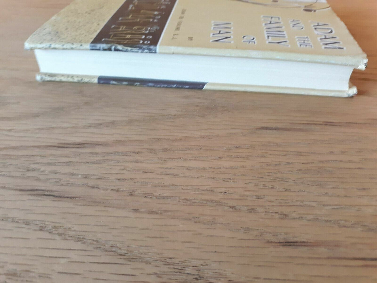 Adam and the family of man Hardcover 1965 Jean de Fraine Dust Jacket