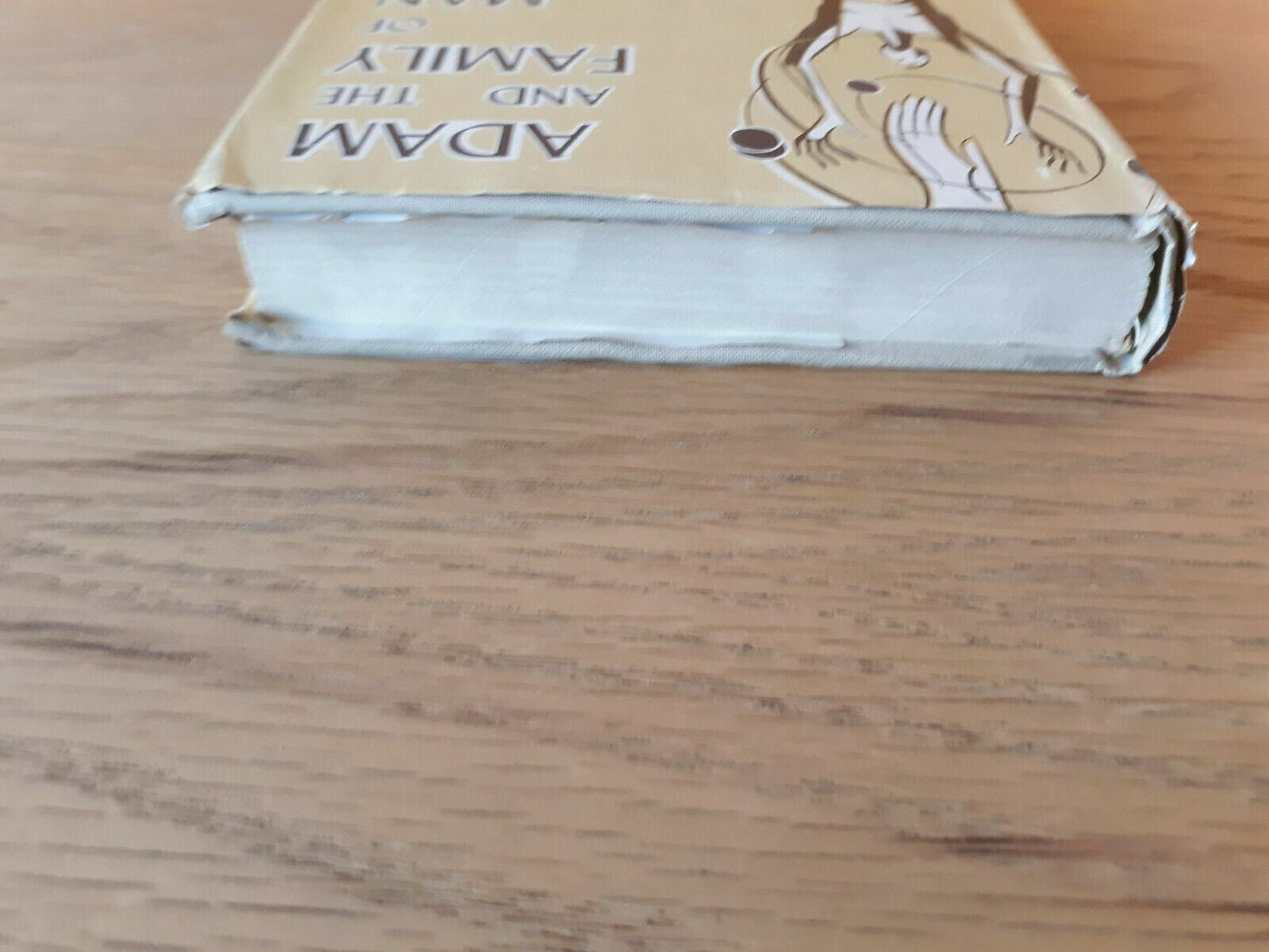 Adam and the family of man Hardcover 1965 Jean de Fraine Dust Jacket