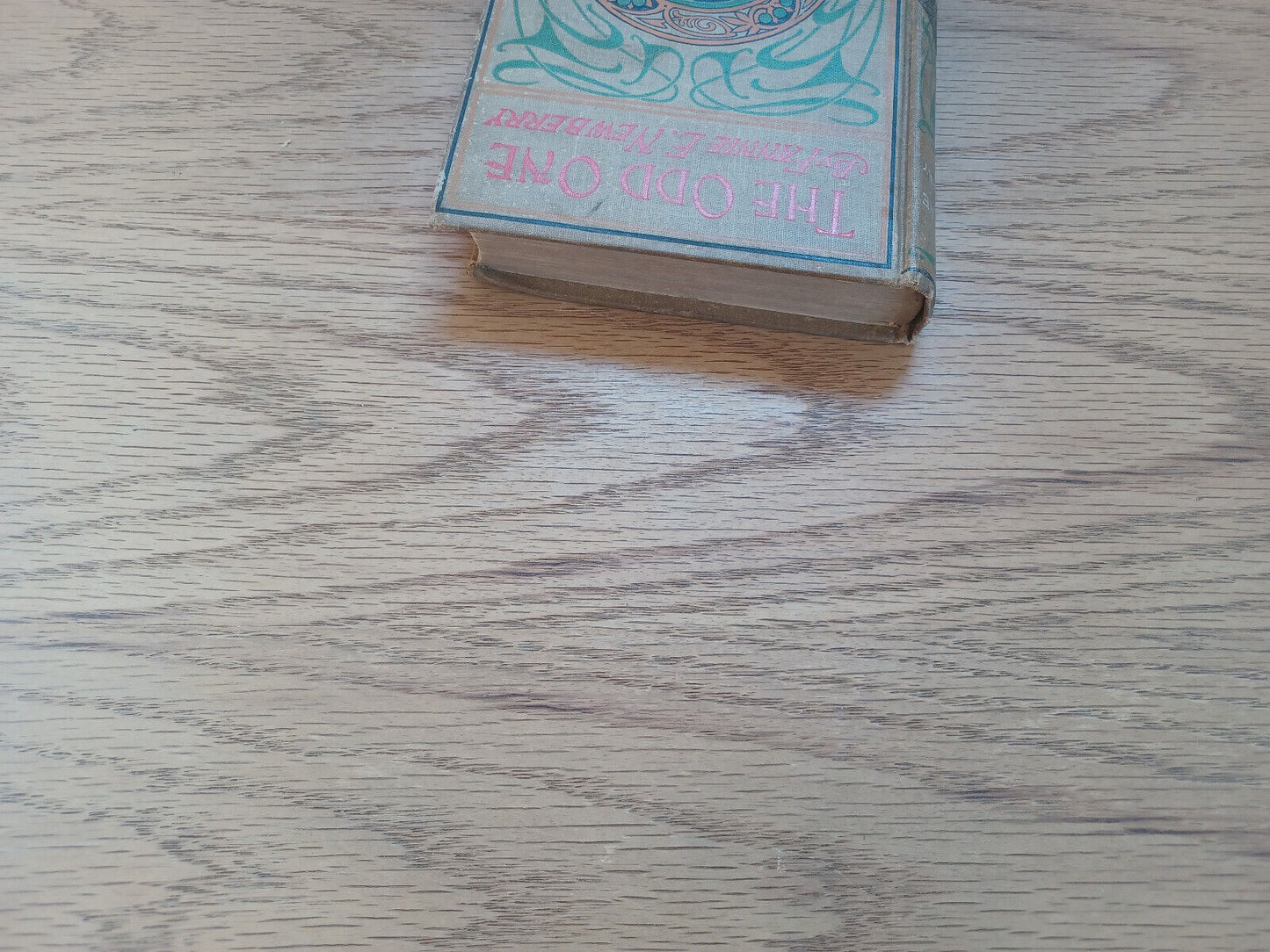 The Odd One A Story For Girls By Fannie E Newberry 1893