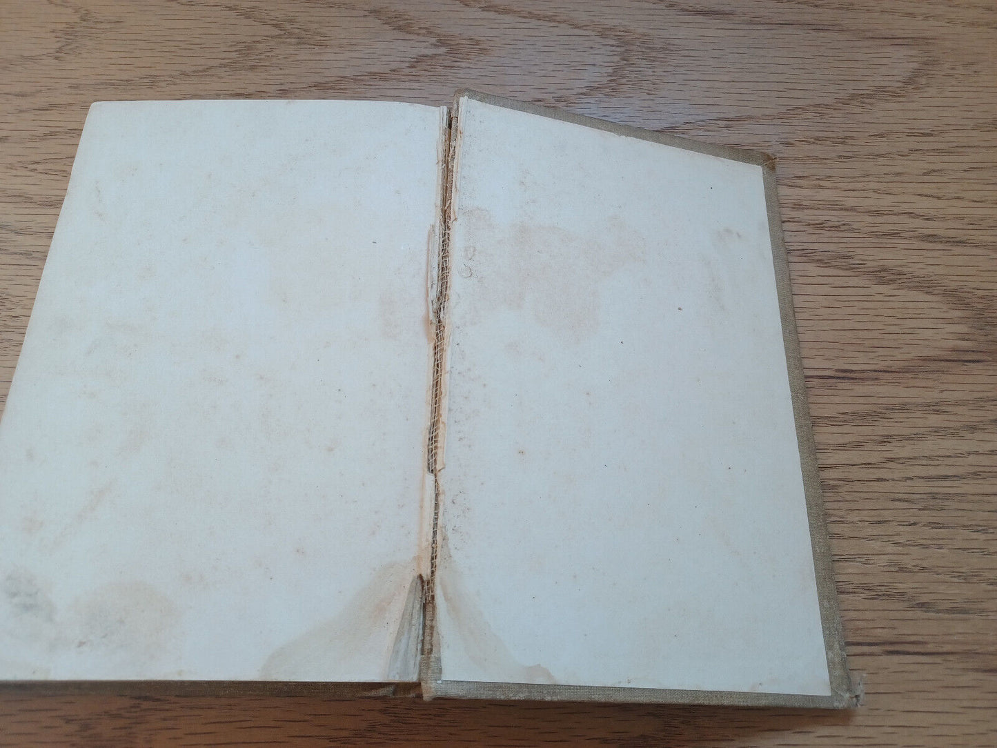 The Odd One A Story For Girls By Fannie E Newberry 1893