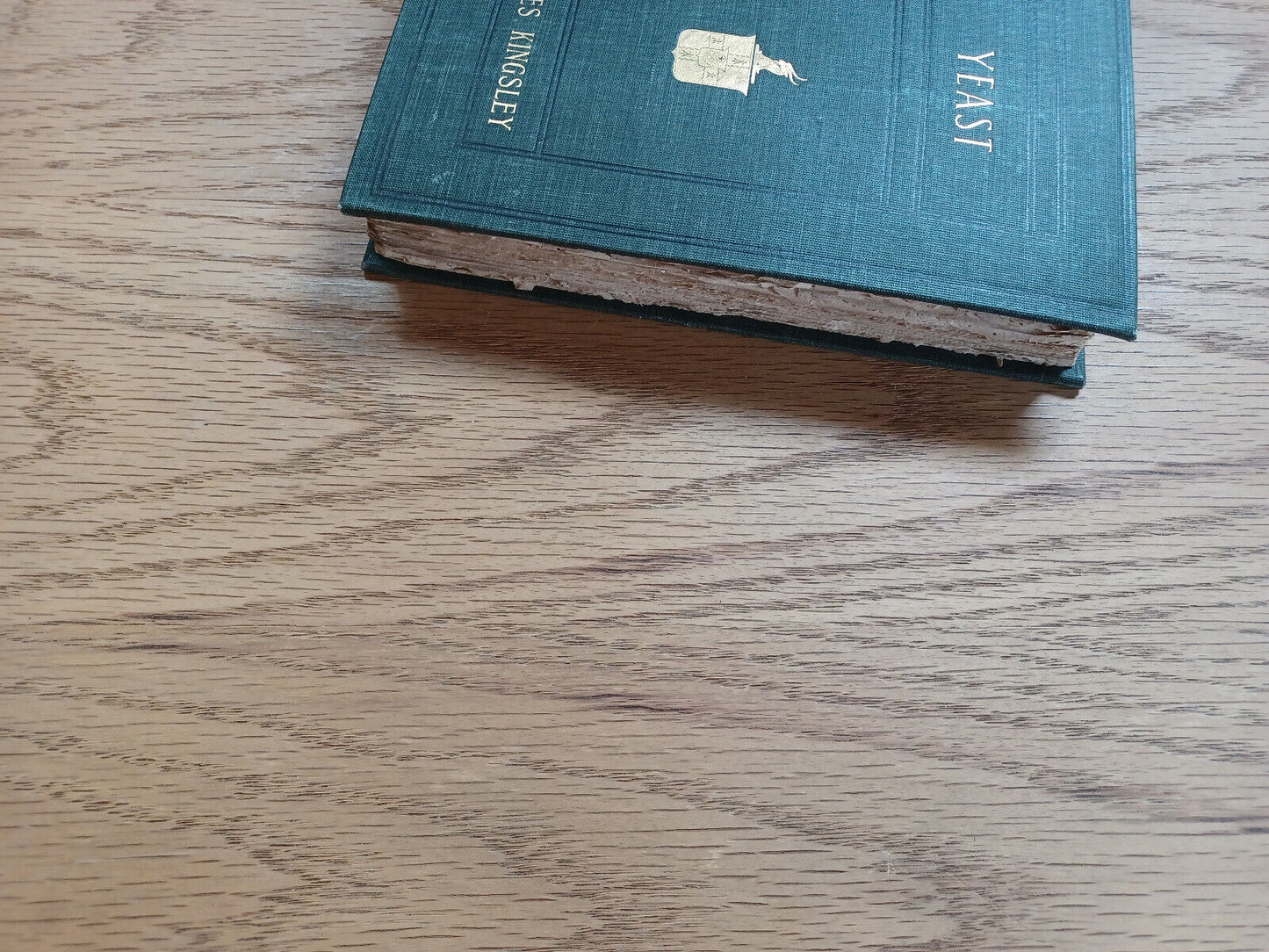 Yeast A Problem Charles Kingsley 1900 Chester Ed