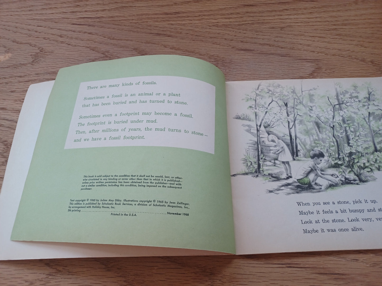 Image #8