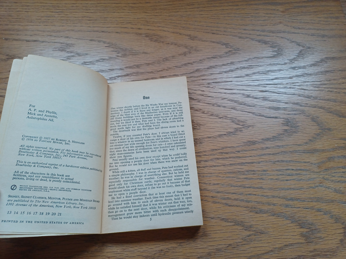 Image #8