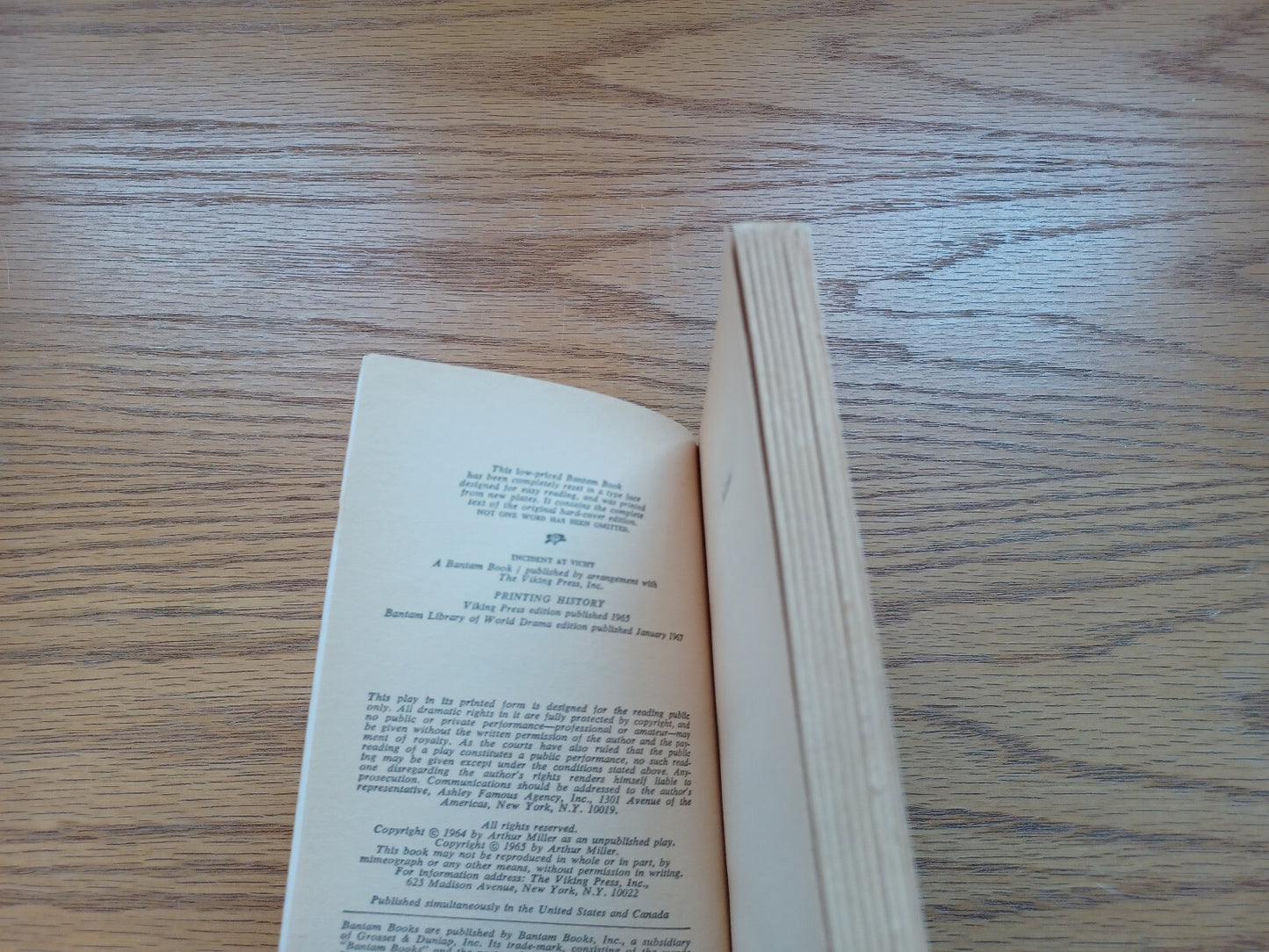 Image #8