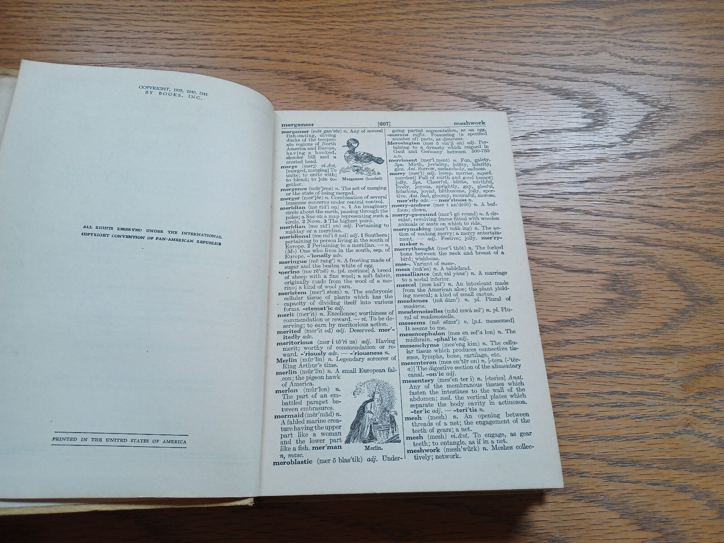 Image #8