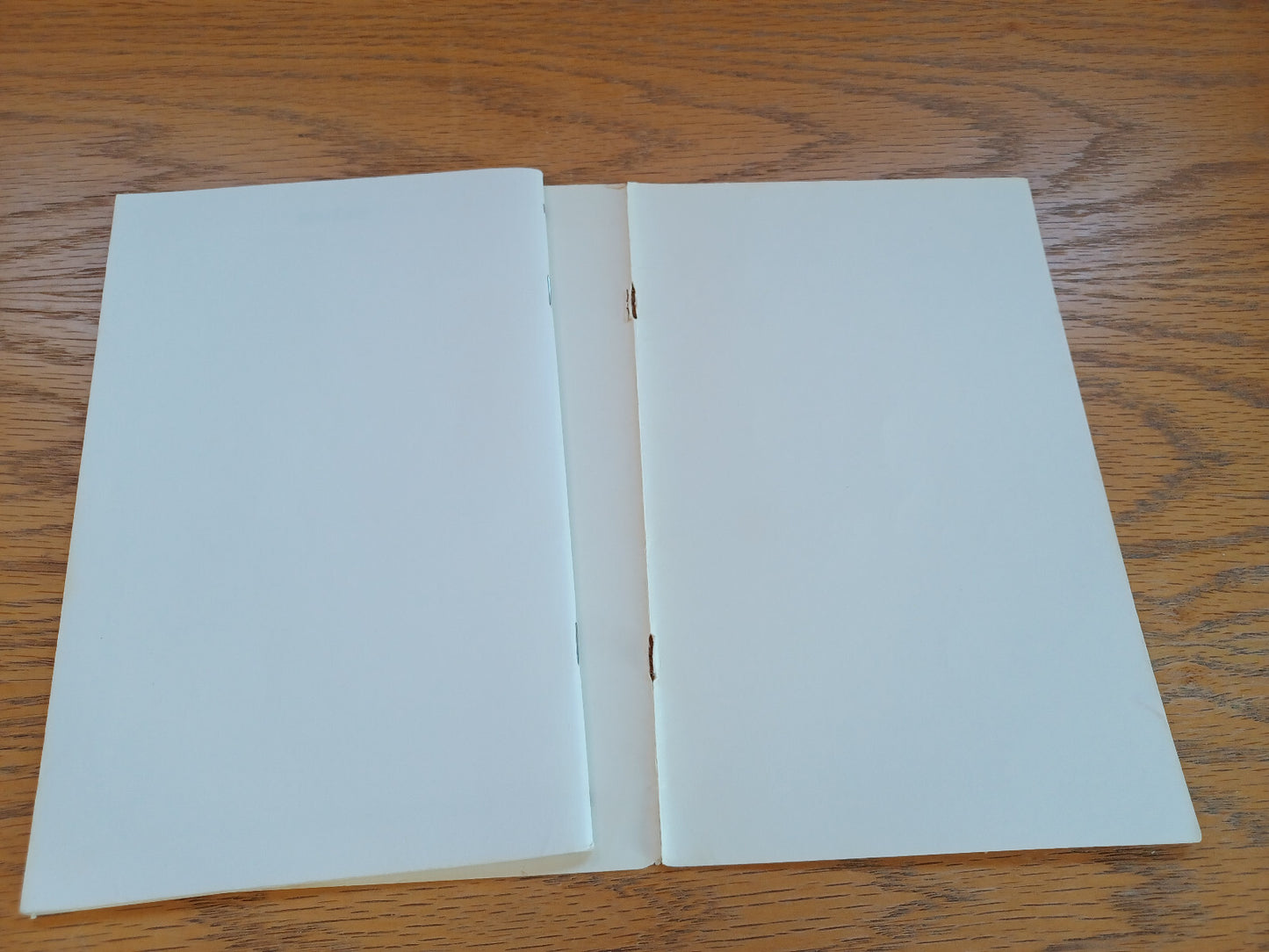 Image #5