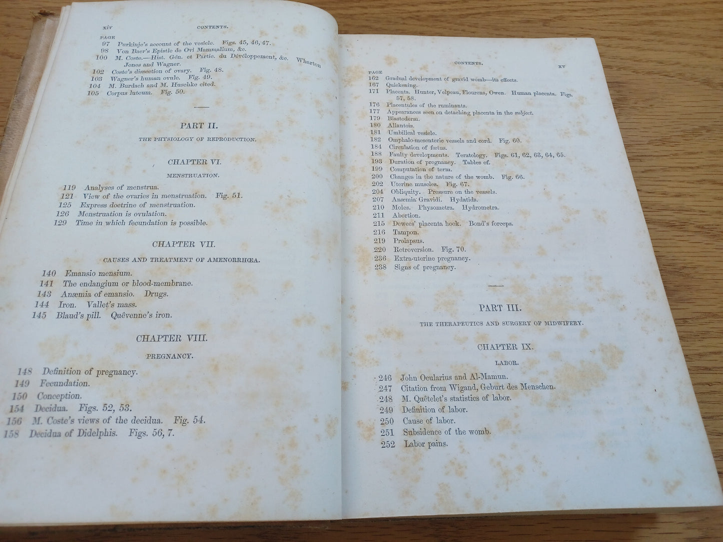 Image #12