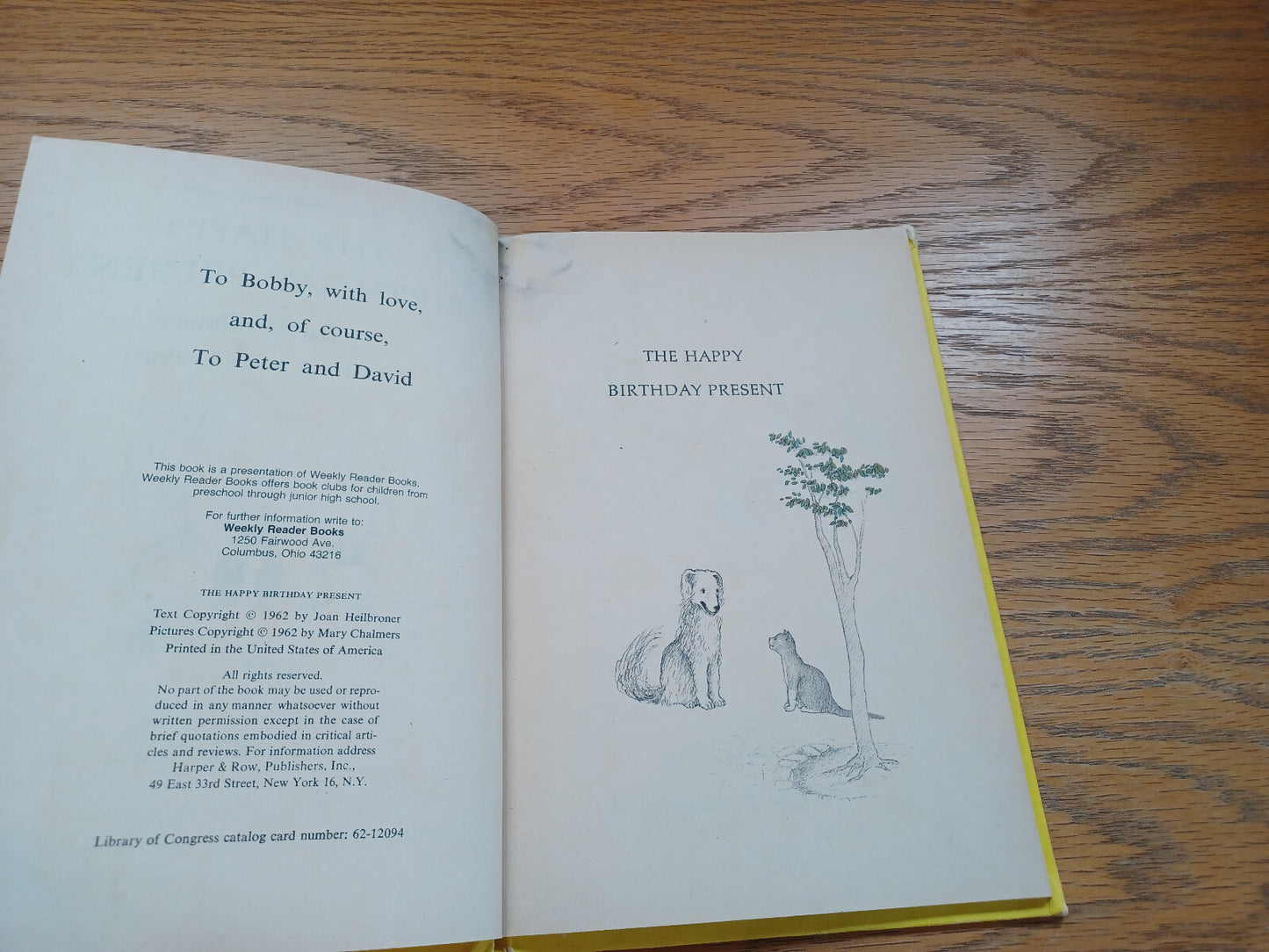 Image #8