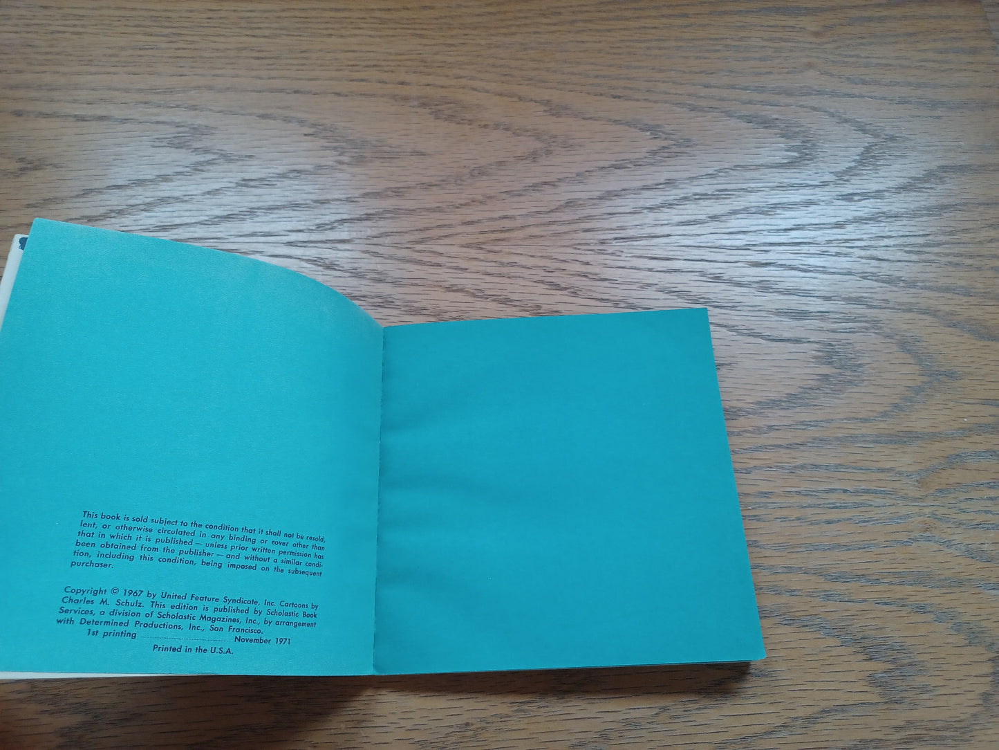 Image #8