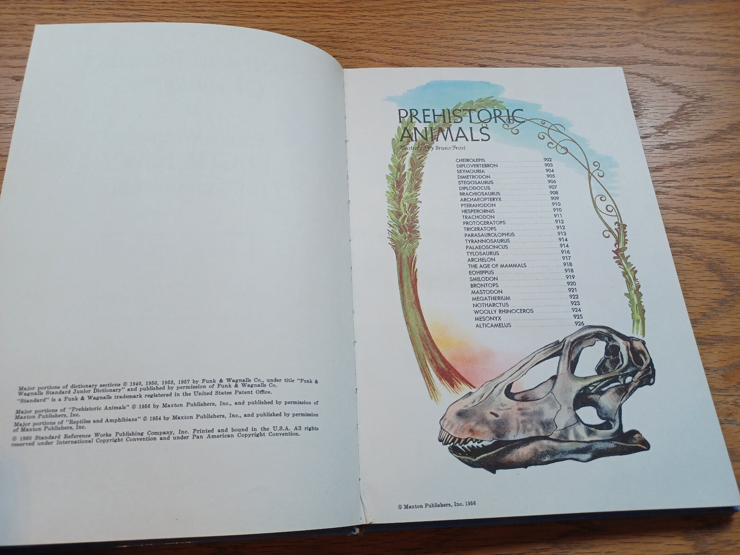 Image #8