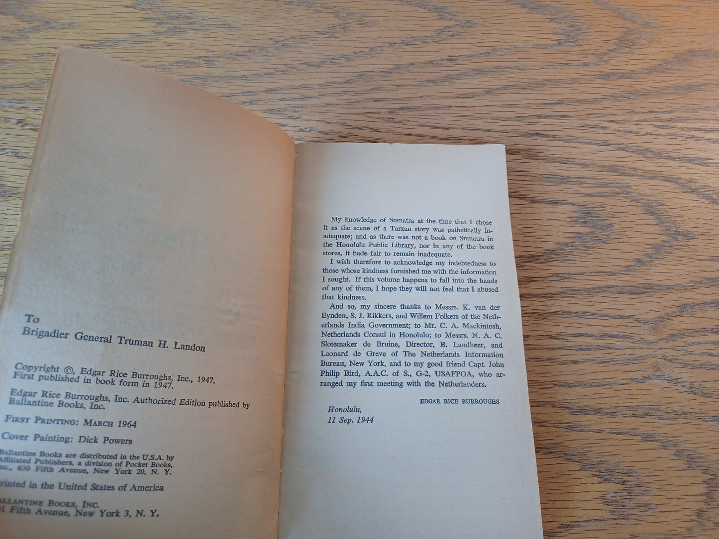 Image #8