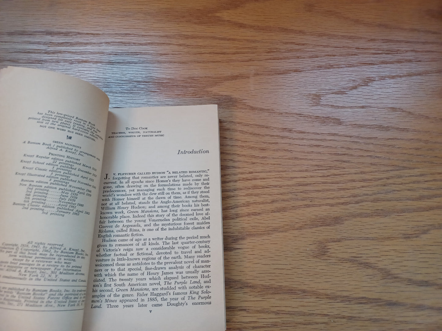 Image #8