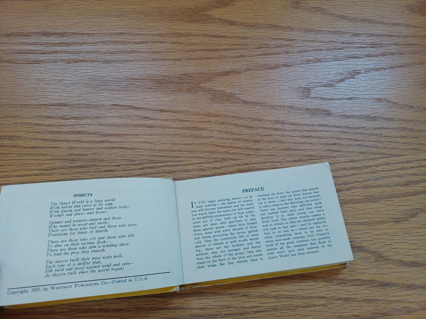 Image #8