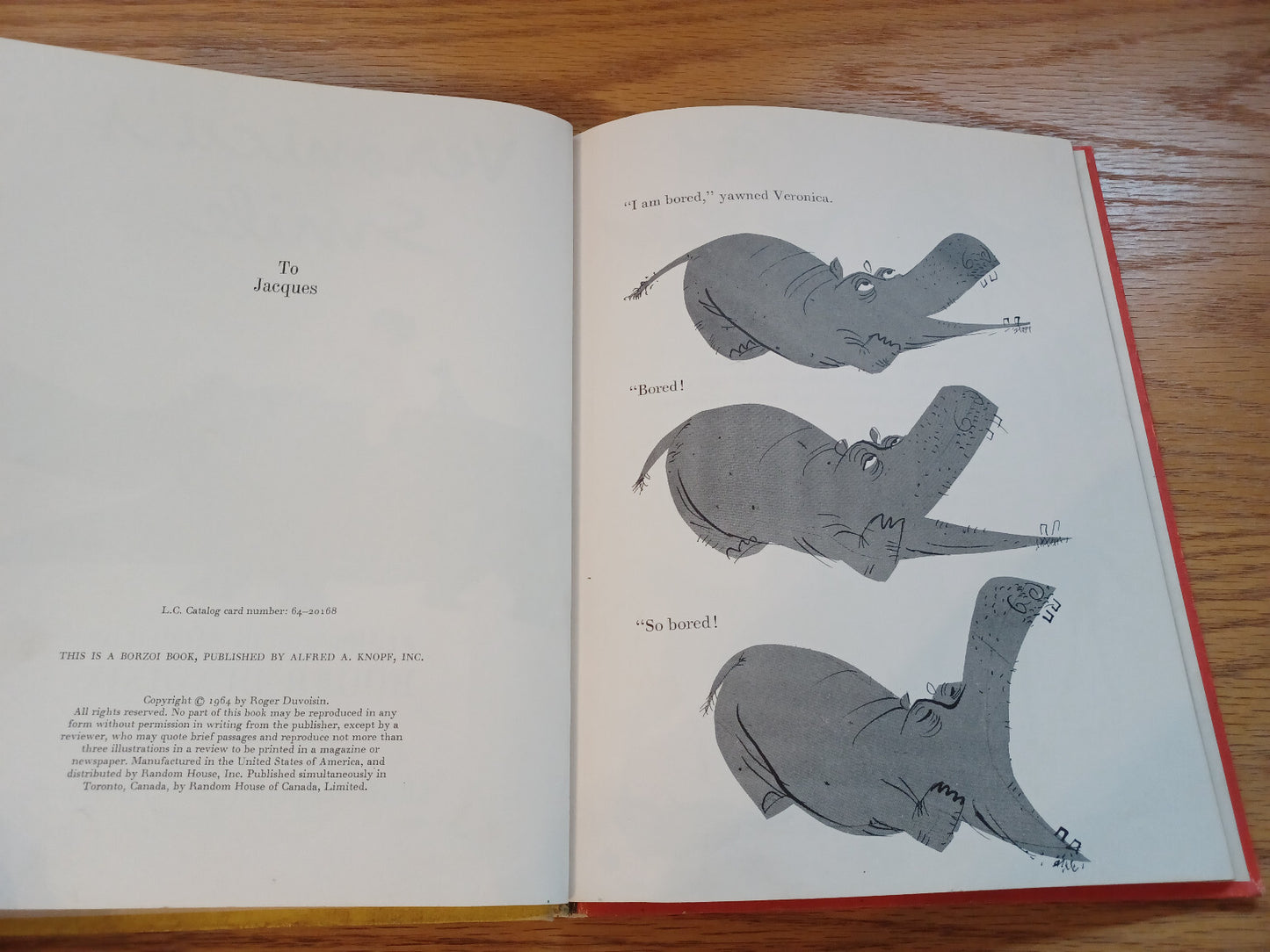 Image #8