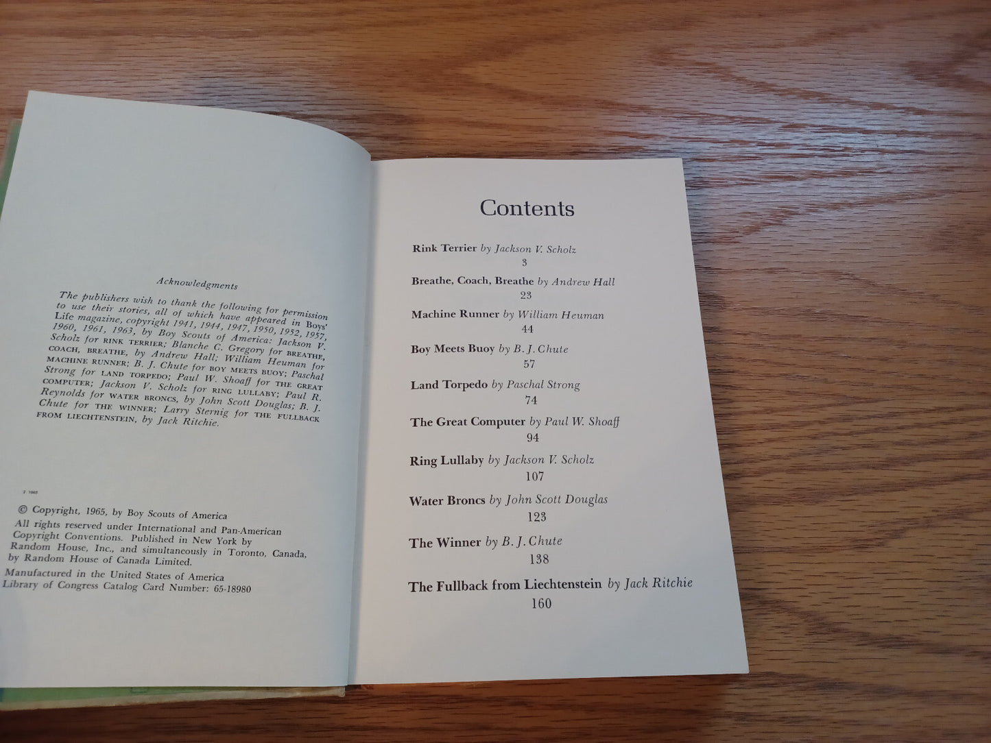 Image #8